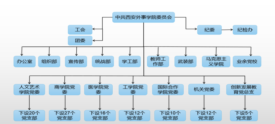 党组织层级关系图片